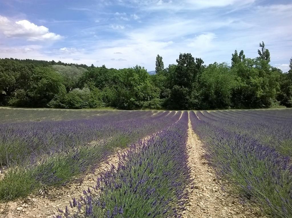 Hotel Sainte Anne "Le Verdon" Les Salles-sur-Verdon Luaran gambar